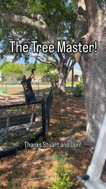 Amazing job by Stuart and Don on the trees at The Harbor! Looks fantastic!

Mark 10:45
Joshua 24:15

#trees #service #serve #christianity #bible