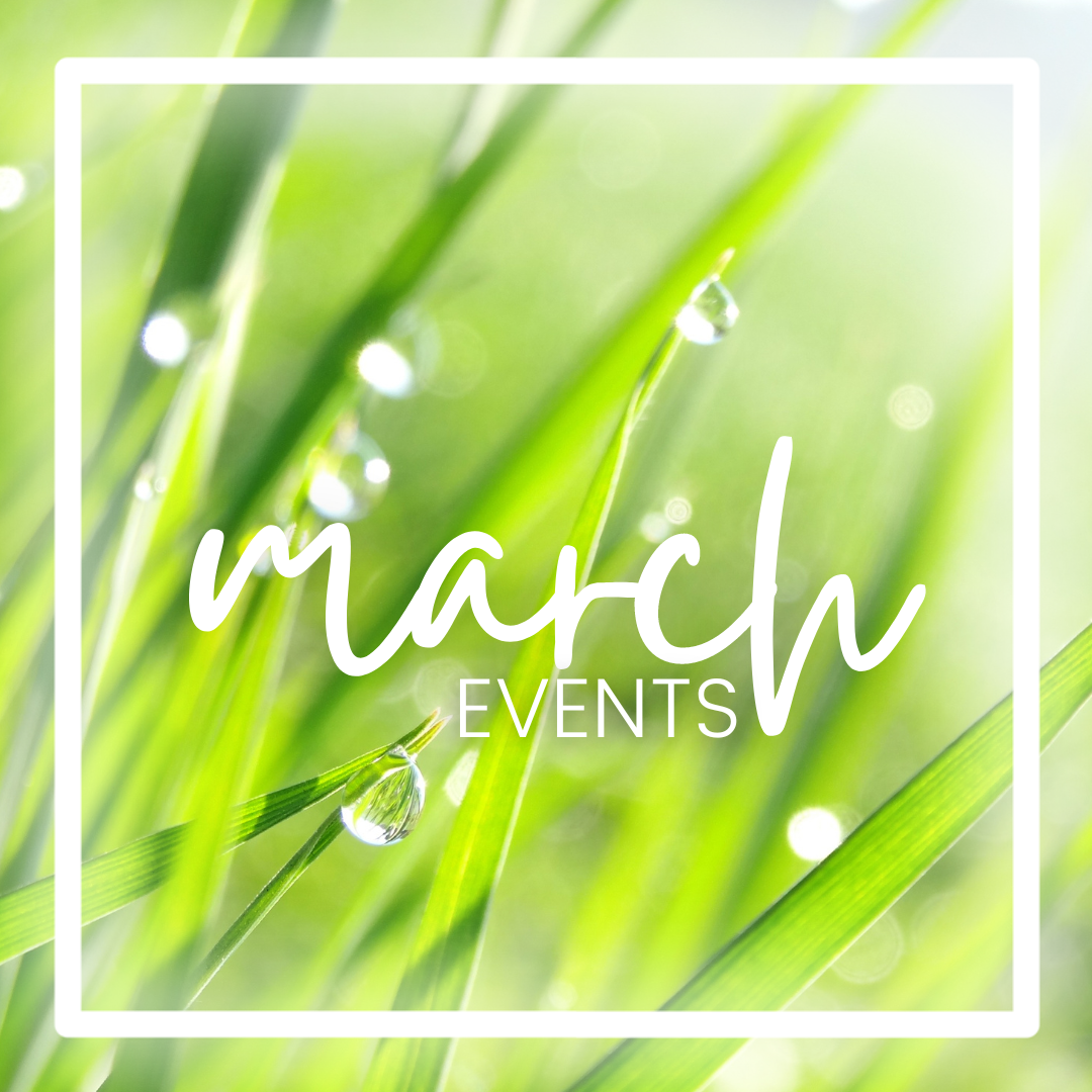March Events at The Harbor Church in Odessa, FL